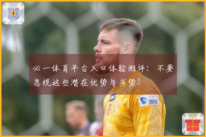 必一体育平台入口体验测评：不要忽视这些潜在优势与劣势!
