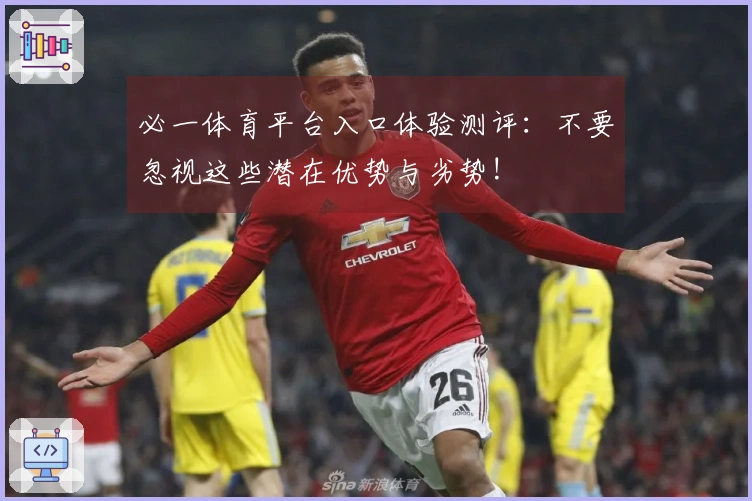 必一体育平台入口体验测评：不要忽视这些潜在优势与劣势!